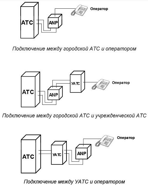 ICON ANP11